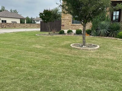 Austin Lawn Care amp Mowing Services - Image %242y%2410%248KHBWqrdiXyzCrzuyoaBEOfs.Gz3WGWGqkm64.TfnsXf3buis4HBy