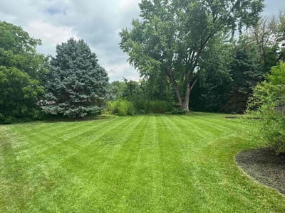 Lincoln Lawn Care & Mowing Services