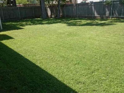 Austin Lawn Care amp Mowing Services - Image %242y%2410%24oitbyALZrTX1ALx3jtO9hee.us06nQN1FuIP.ATElwULWs51P9Nyq