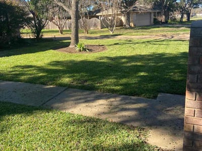 Austin Lawn Care amp Mowing Services - Image %242y%2410%24MO4WwhmwaujBLK9UuqMG..aTLg7TgXK14wcZd.FSDOQhtlglVhsIK